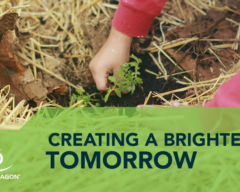 charity planting of new plants to recover from australian bush fires