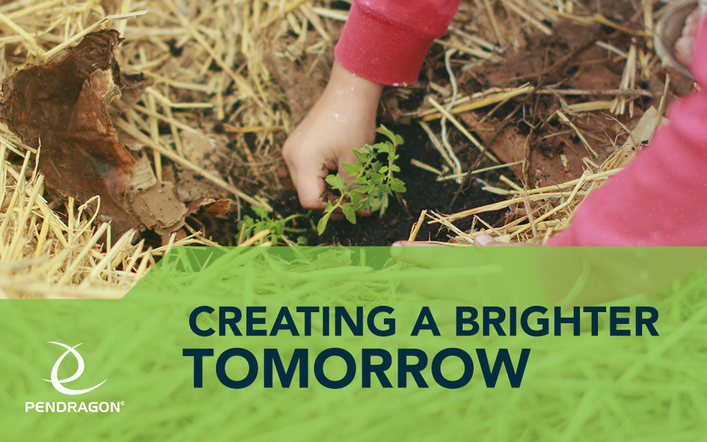 charity planting of new plants to recover from australian bush fires