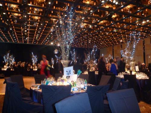 Jeans for Genes Gala Dinner 003